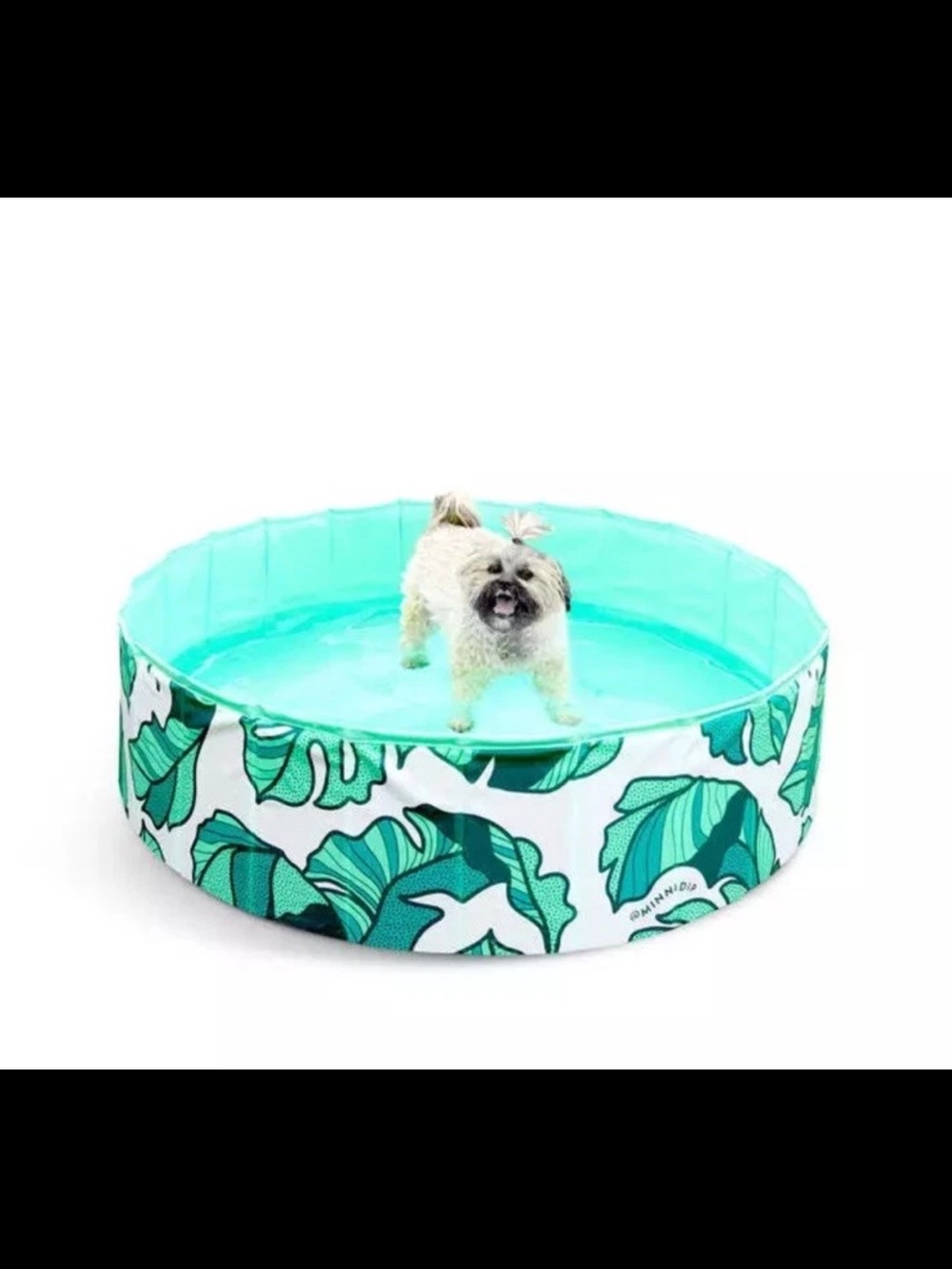 Collapsible Tropical Leaf Pet Pool for Dogs - Aqua Green